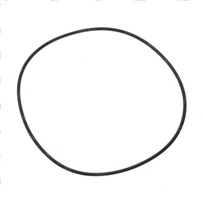 Picture of O-Ring