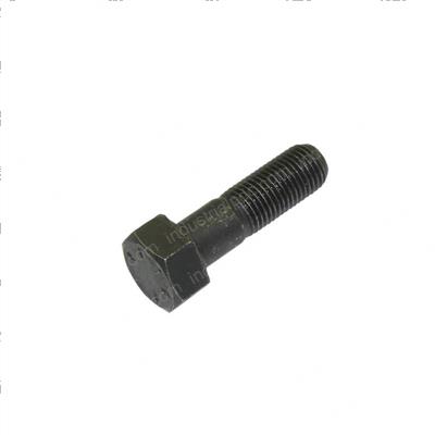 Picture of Bolt