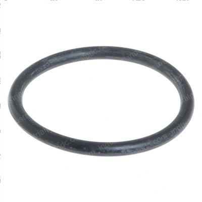 Picture of O-Ring