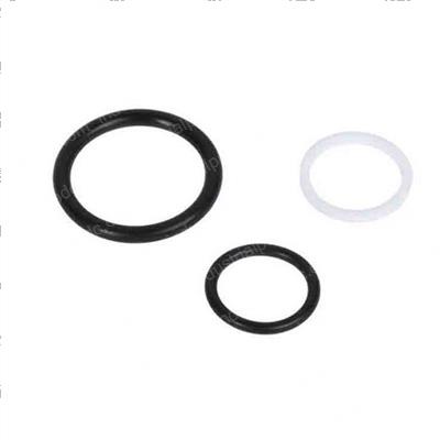 Picture of Seal Kit