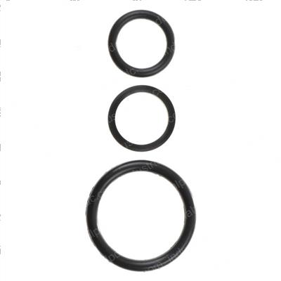Picture of Seal Kit