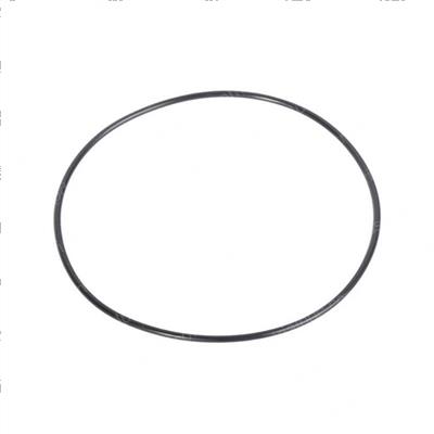 Picture of O-Ring