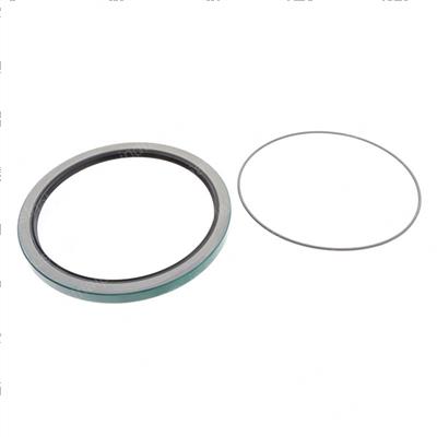 Picture of Seal Double Lip Nitrile