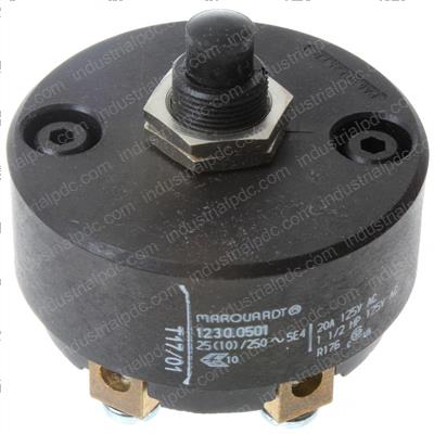 Picture of Switch -  Dpst -  Momentary [23