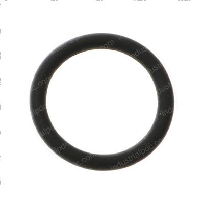 Picture of O-Ring
