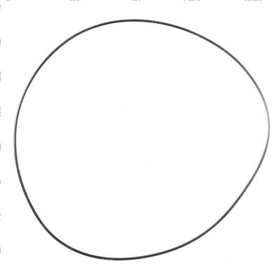 Picture of O-Ring