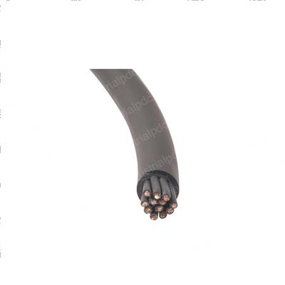 Picture of Cable - 16 Ga 12 Conductor