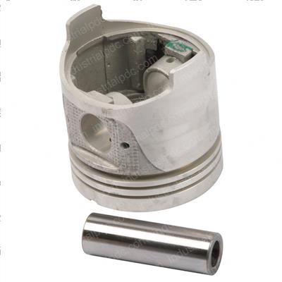 Picture of Piston - Standard