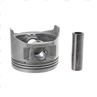 Picture of Piston - Standard