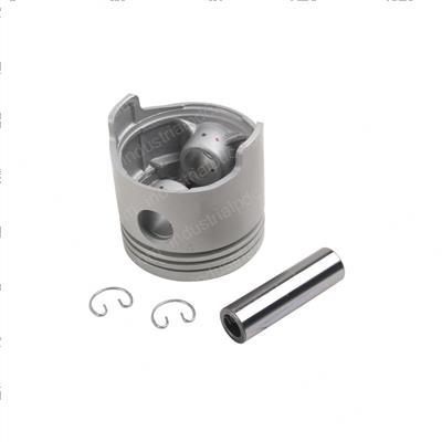 Picture of Piston - .75mm
