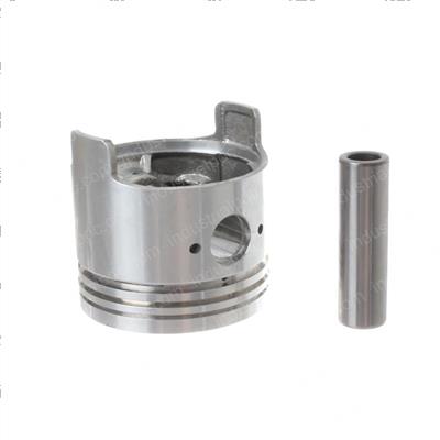 Picture of Piston - 1.00mm
