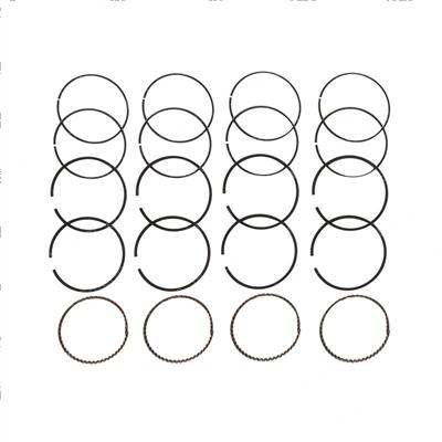 Picture of Ring Set - Standard