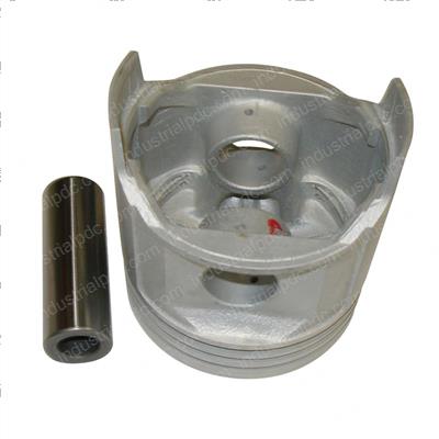 Picture of Piston - .75mm