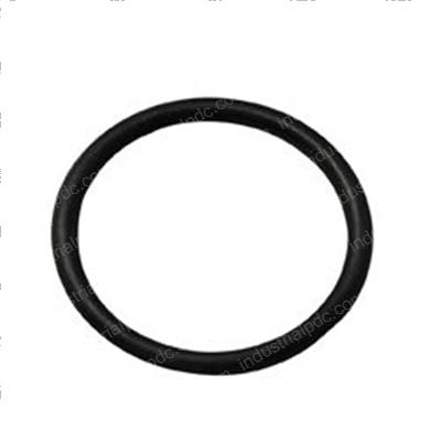 Picture of O-Ring