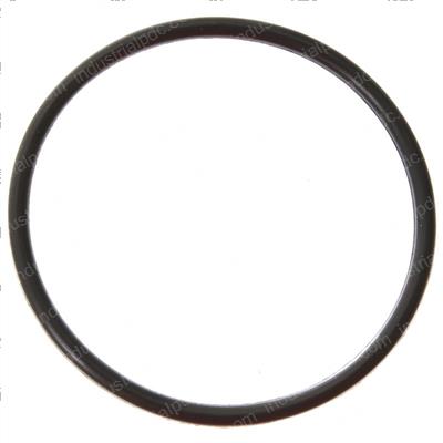 Picture of O-Ring