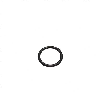 Picture of O-Ring