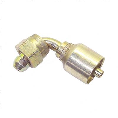 Picture of Female Bsp S