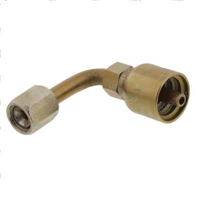 Picture of Female Jic 3