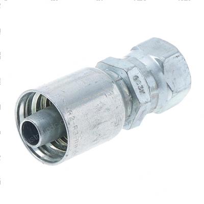 Picture of Female Conne