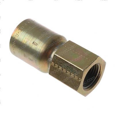 Picture of Female Nptf