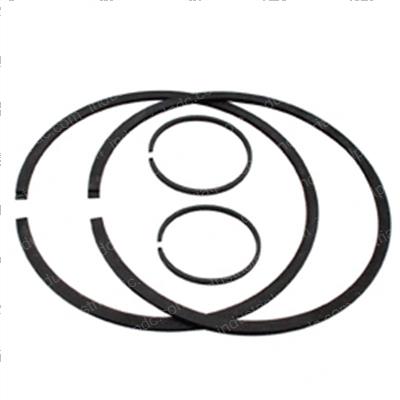 Picture of Seal Kit - Ring