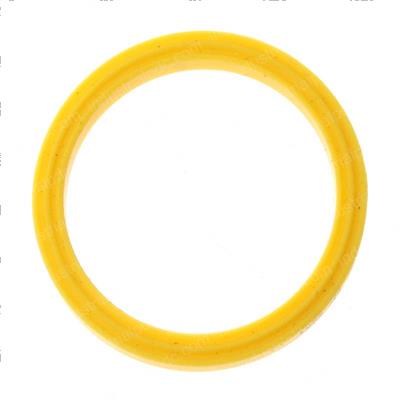 Picture of Seal