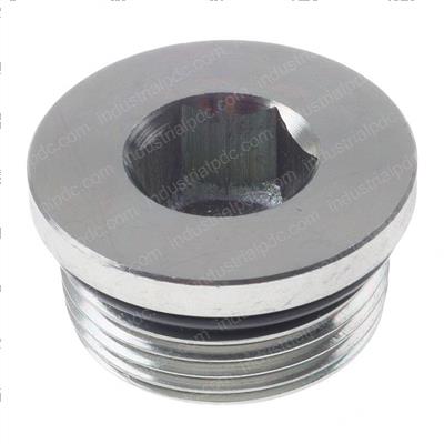 Picture of Plug - Hollow Hex