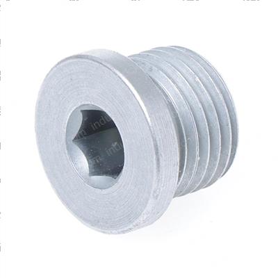 Picture of Plug - Hollow Hex