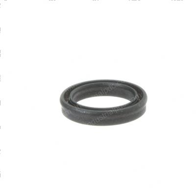 Picture of Seal
