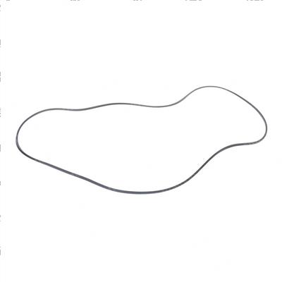 Picture of Seal