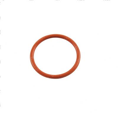 Picture of O-Ring