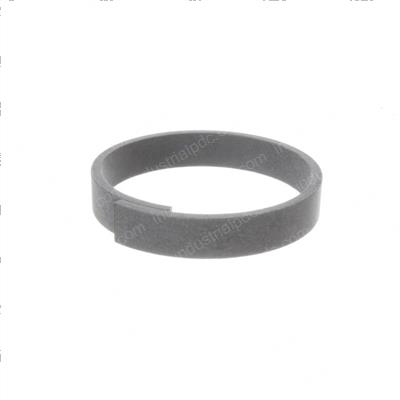 Picture of Ring - Guide