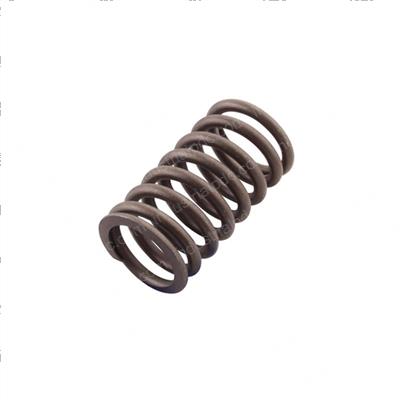 Picture of Spring - Valve Inner