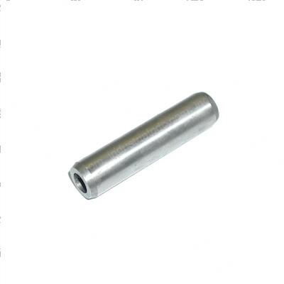 Picture of Guide - Intake Valve