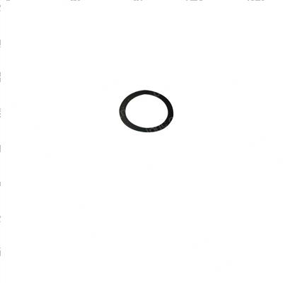 Picture of Shim