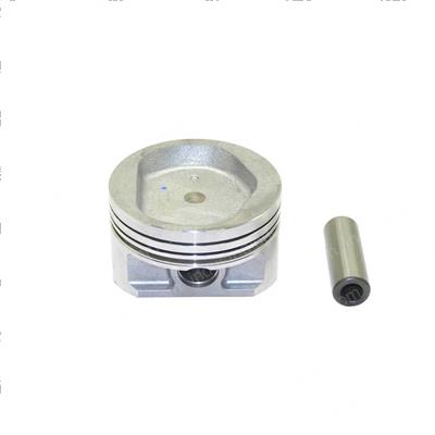 Picture of Piston - W /Pin 1.00mm