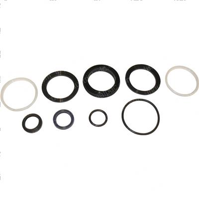 Picture of Seal Kit