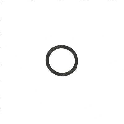 Picture of O-Ring