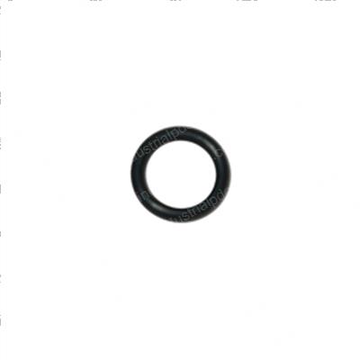 Picture of O-Ring