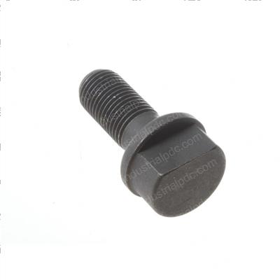 Picture of Bolt