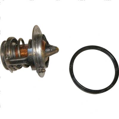 Picture of Thermostat Kit
