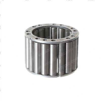 Picture of Bearing - Needle