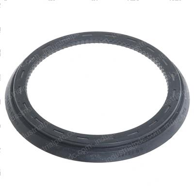 Picture of Seal - General