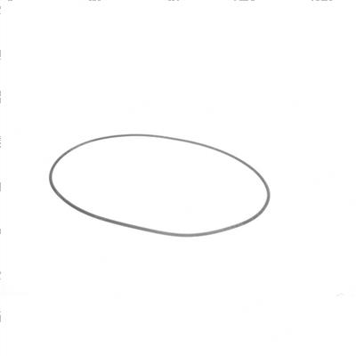 Picture of O-Ring
