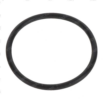 Picture of O-Ring