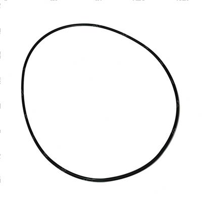 Picture of O-Ring