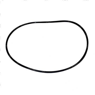 Picture of O-Ring