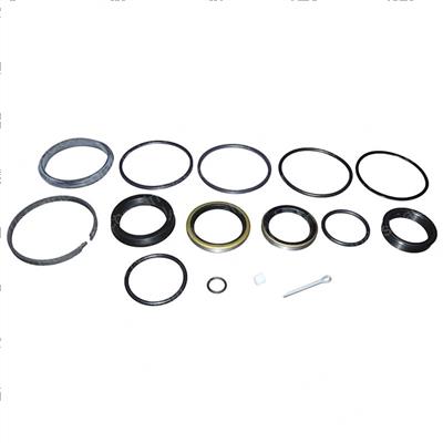Picture of Cylinder Seal Repair Kit