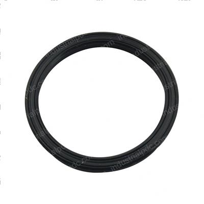 Picture of Seal - Ucup