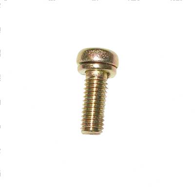 Picture of Screw